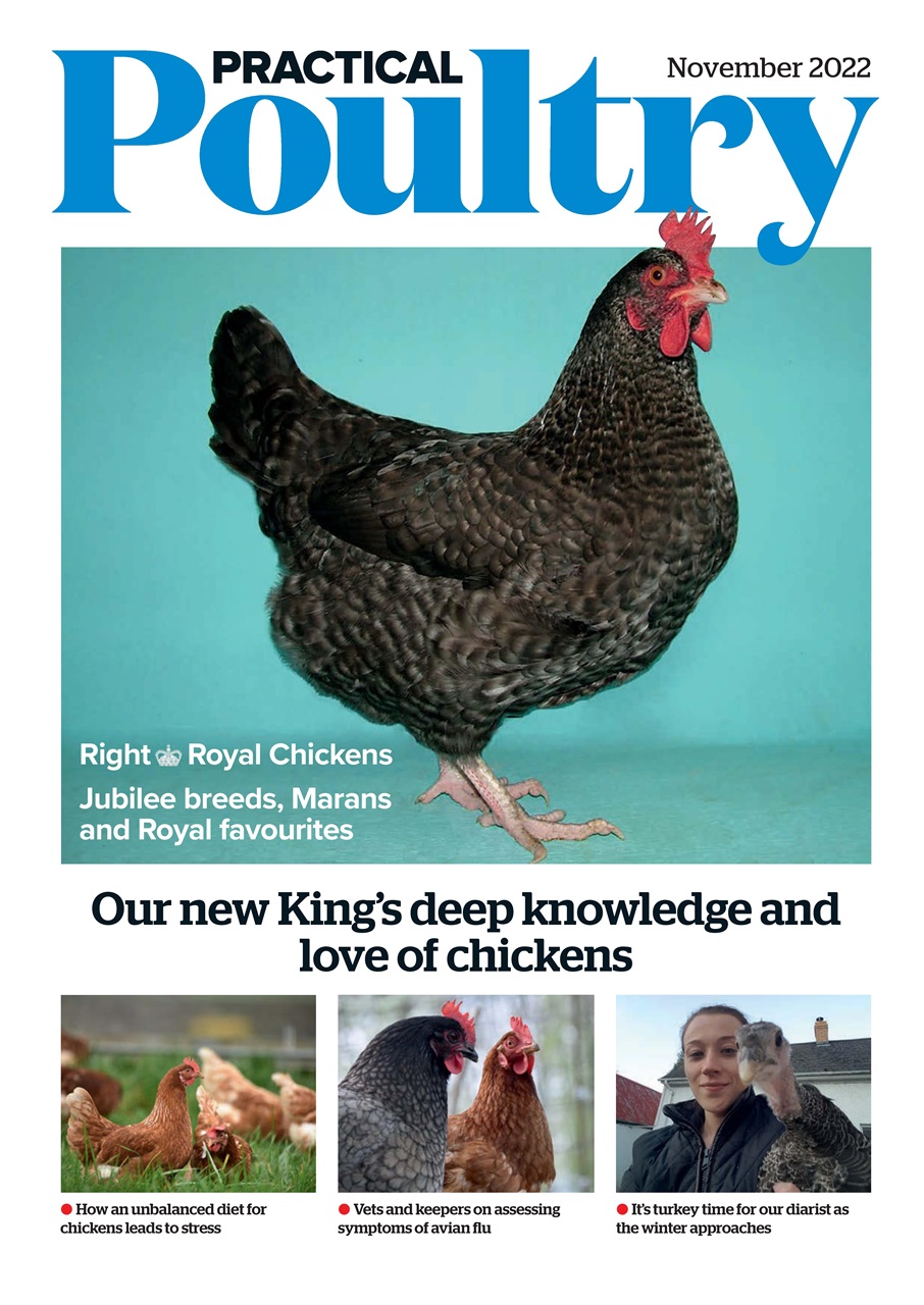 The Country Smallholder Preview Pages
