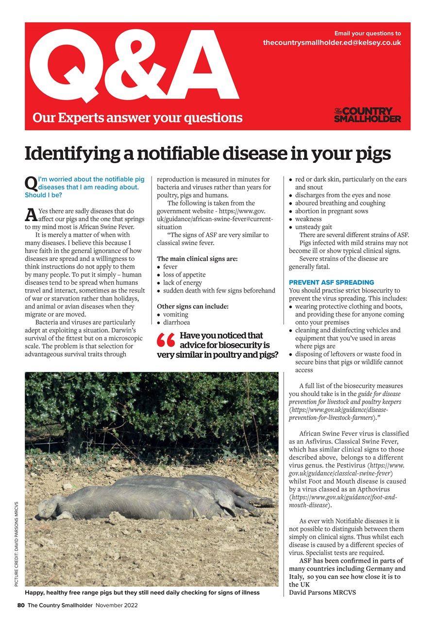 The Country Smallholder Preview Pages