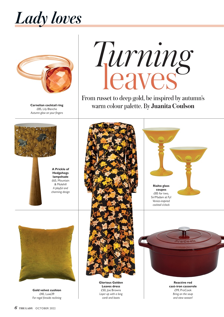 The Lady Preview Pages