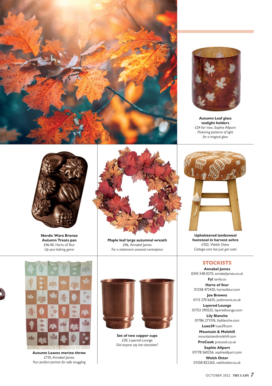 The Lady Preview Pages