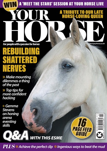 Your Horse issue #497 November 2022