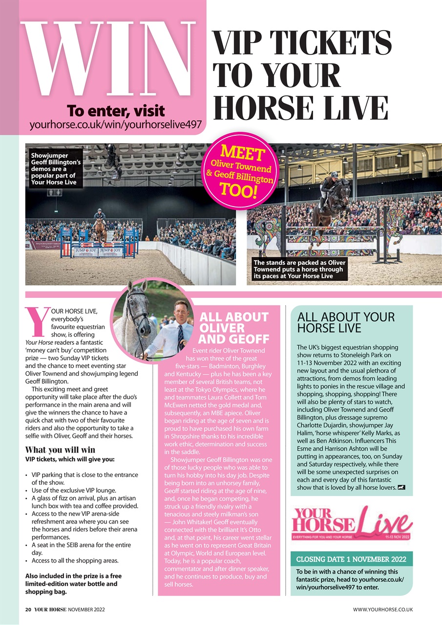 Your Horse Preview Pages