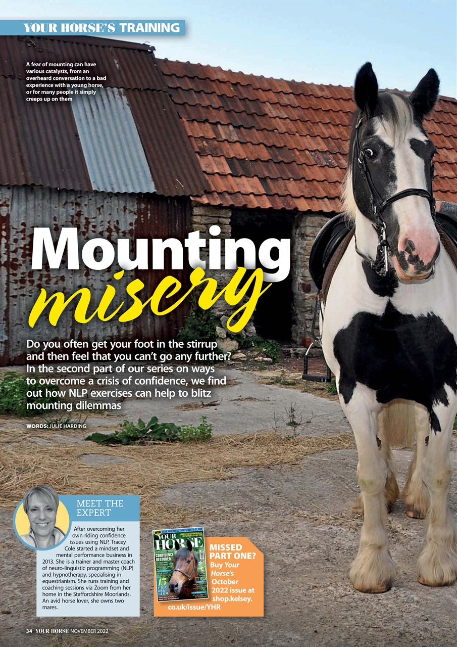 Your Horse Preview Pages