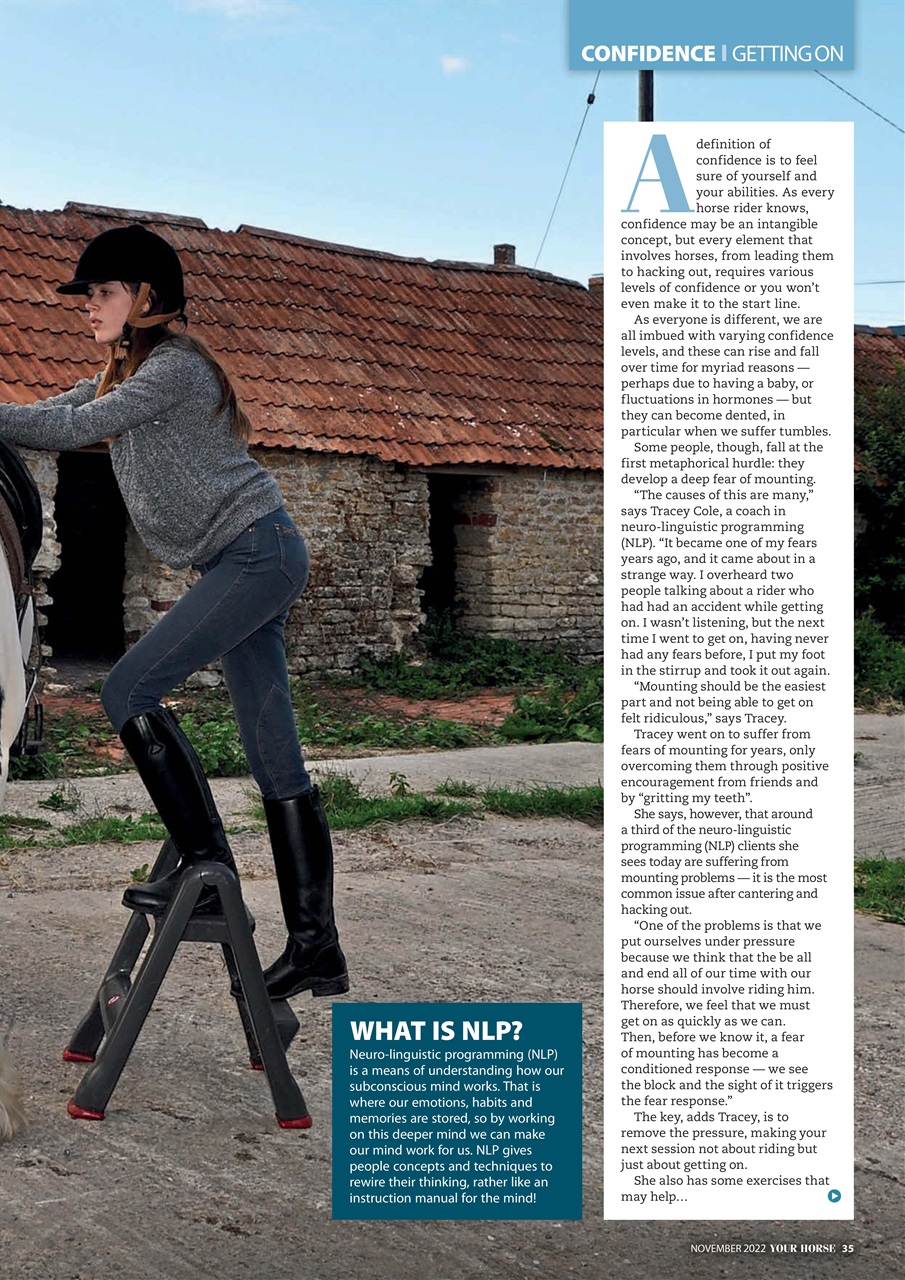 Your Horse Preview Pages