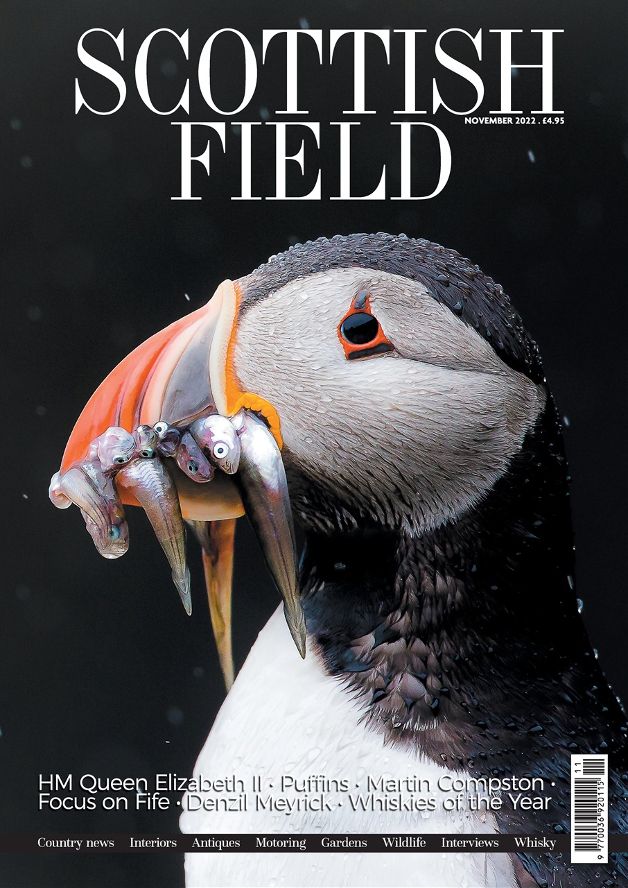 Scottish Field Preview Pages