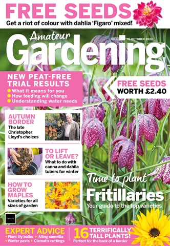 Amateur Gardening issue 15th October 2022