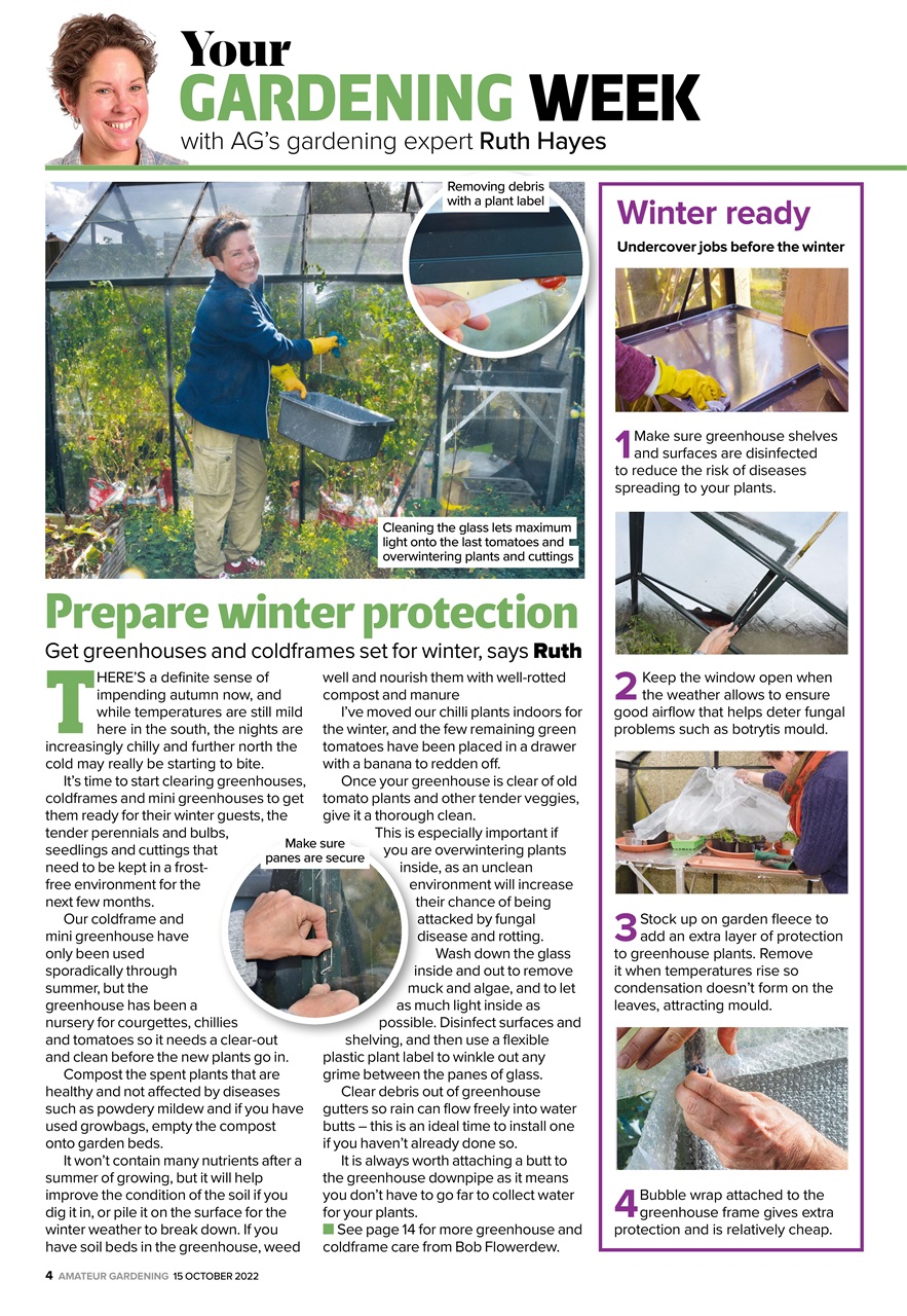 Amateur Gardening Preview Pages