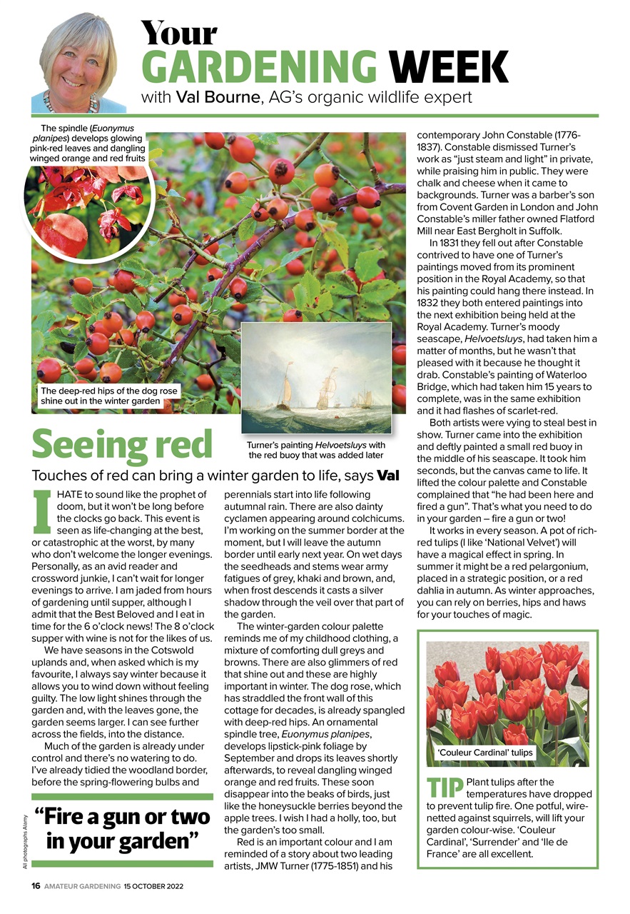 Amateur Gardening Preview Pages