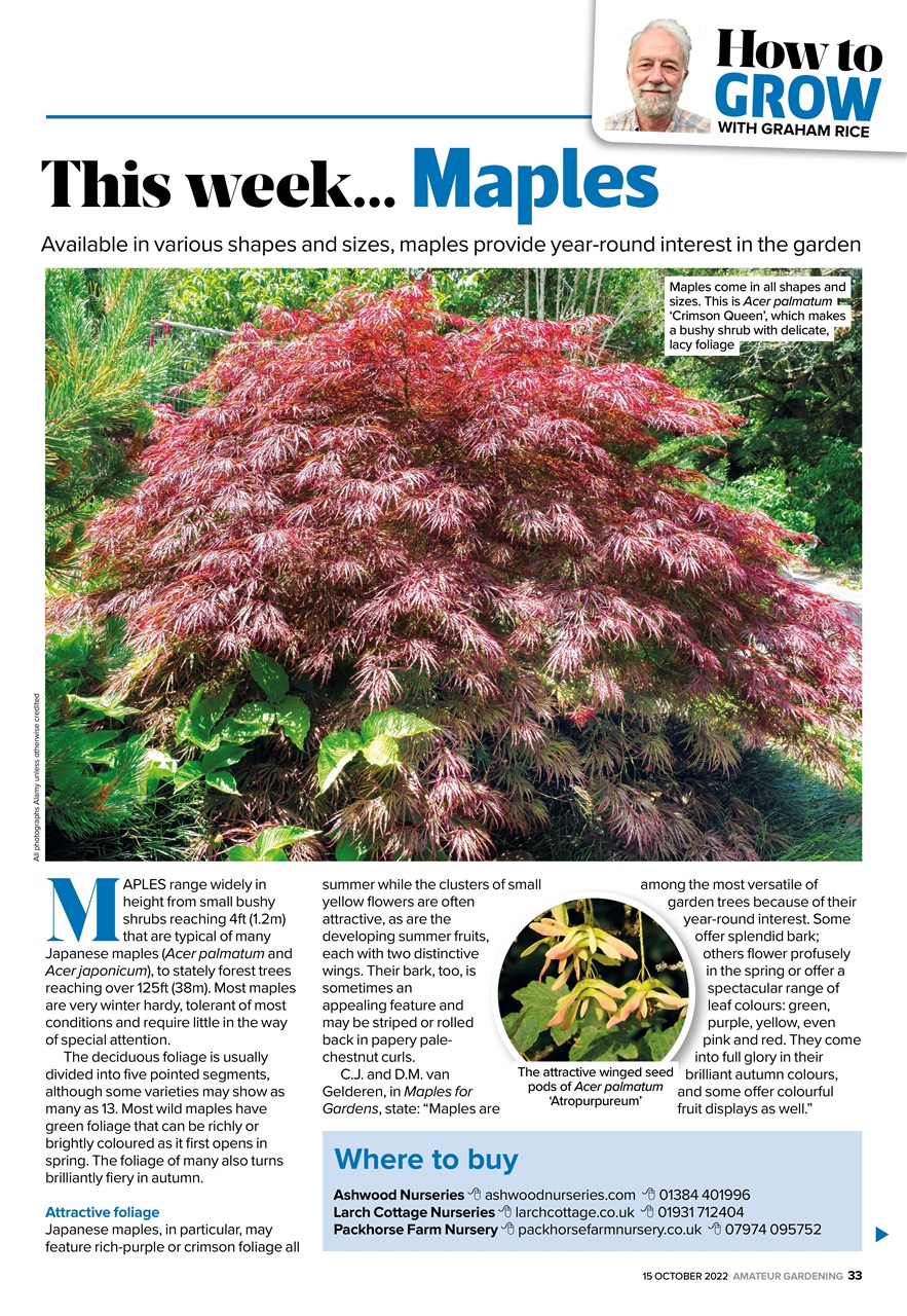 Amateur Gardening Preview Pages