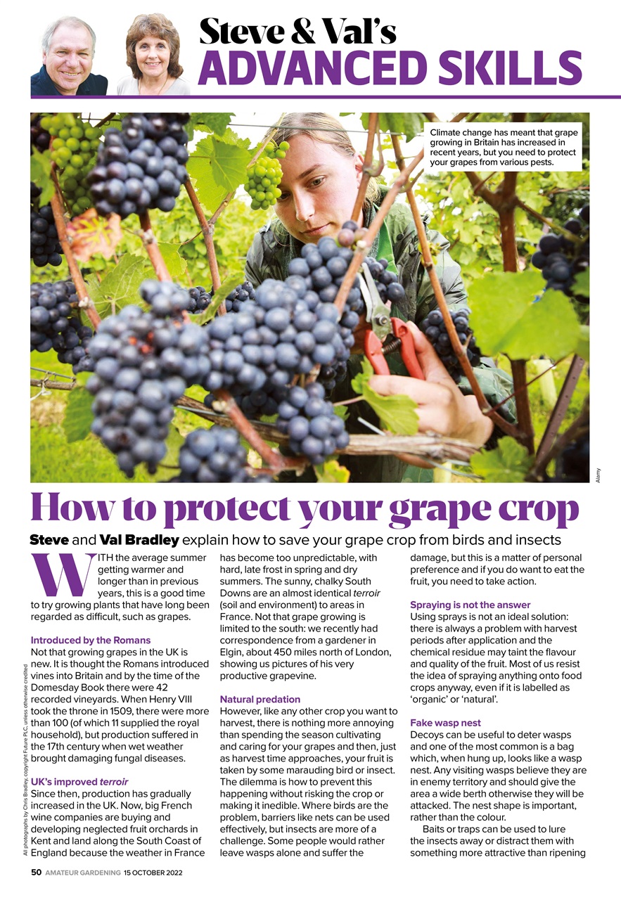 Amateur Gardening Preview Pages