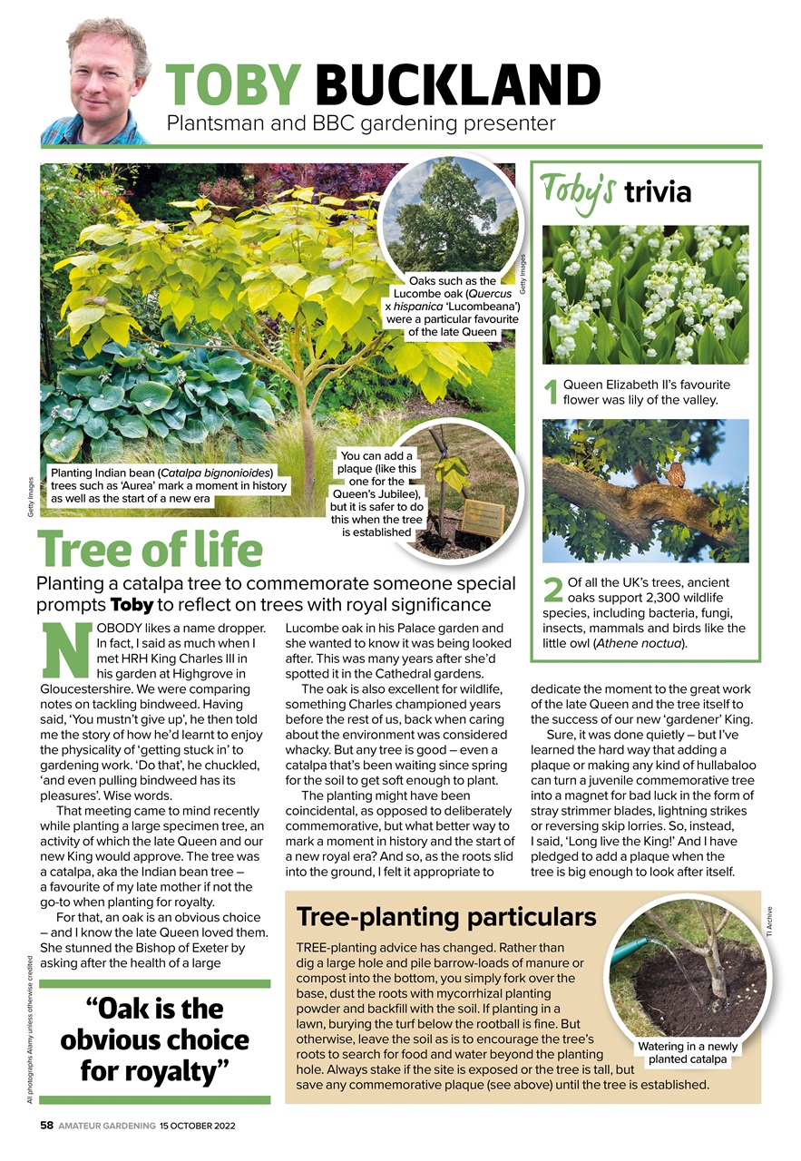 Amateur Gardening Preview Pages