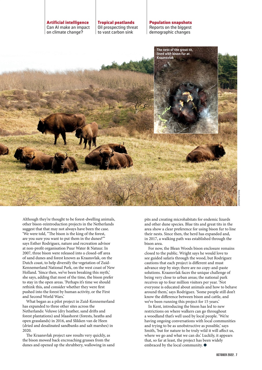 Geographical Preview Pages