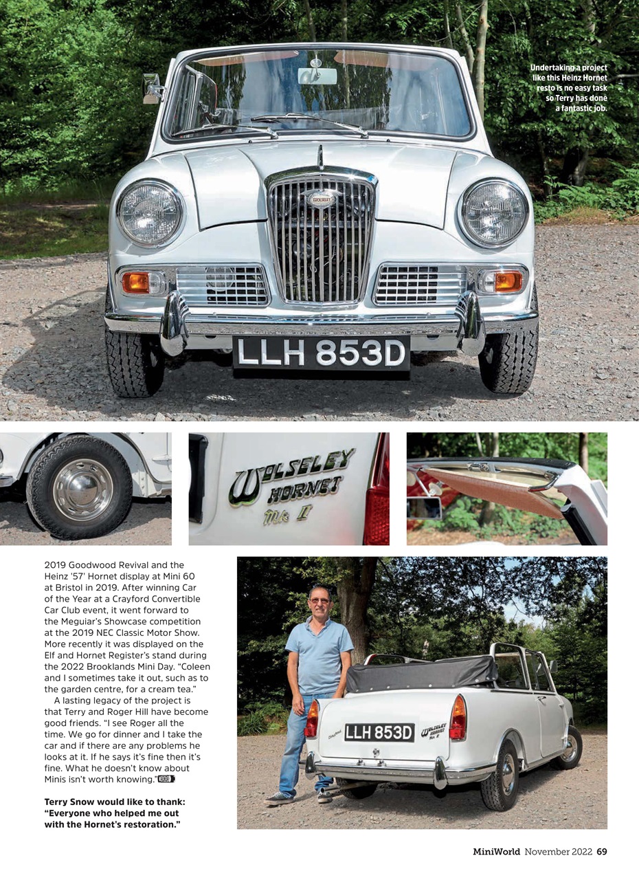 Mini World Preview Pages