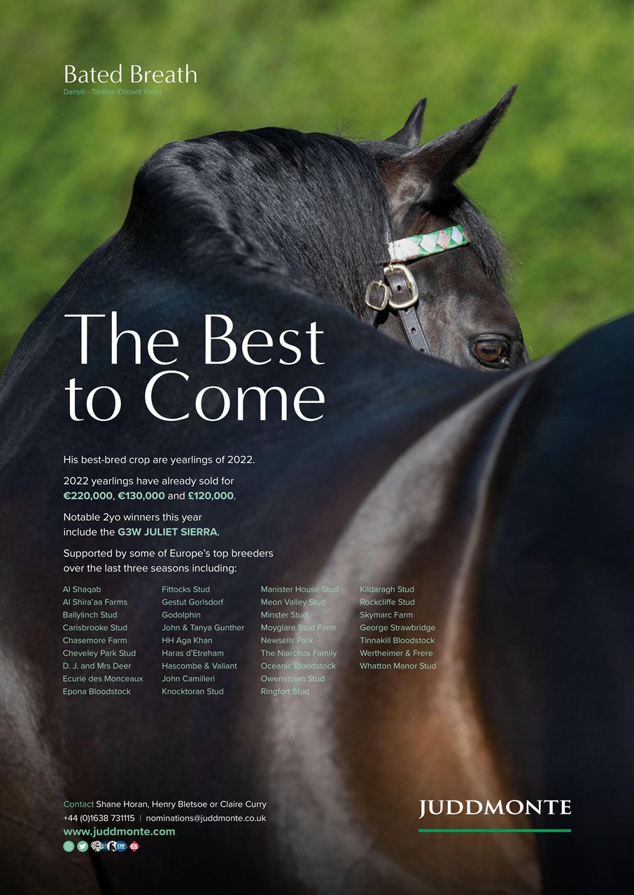 The Owner Breeder Preview Pages