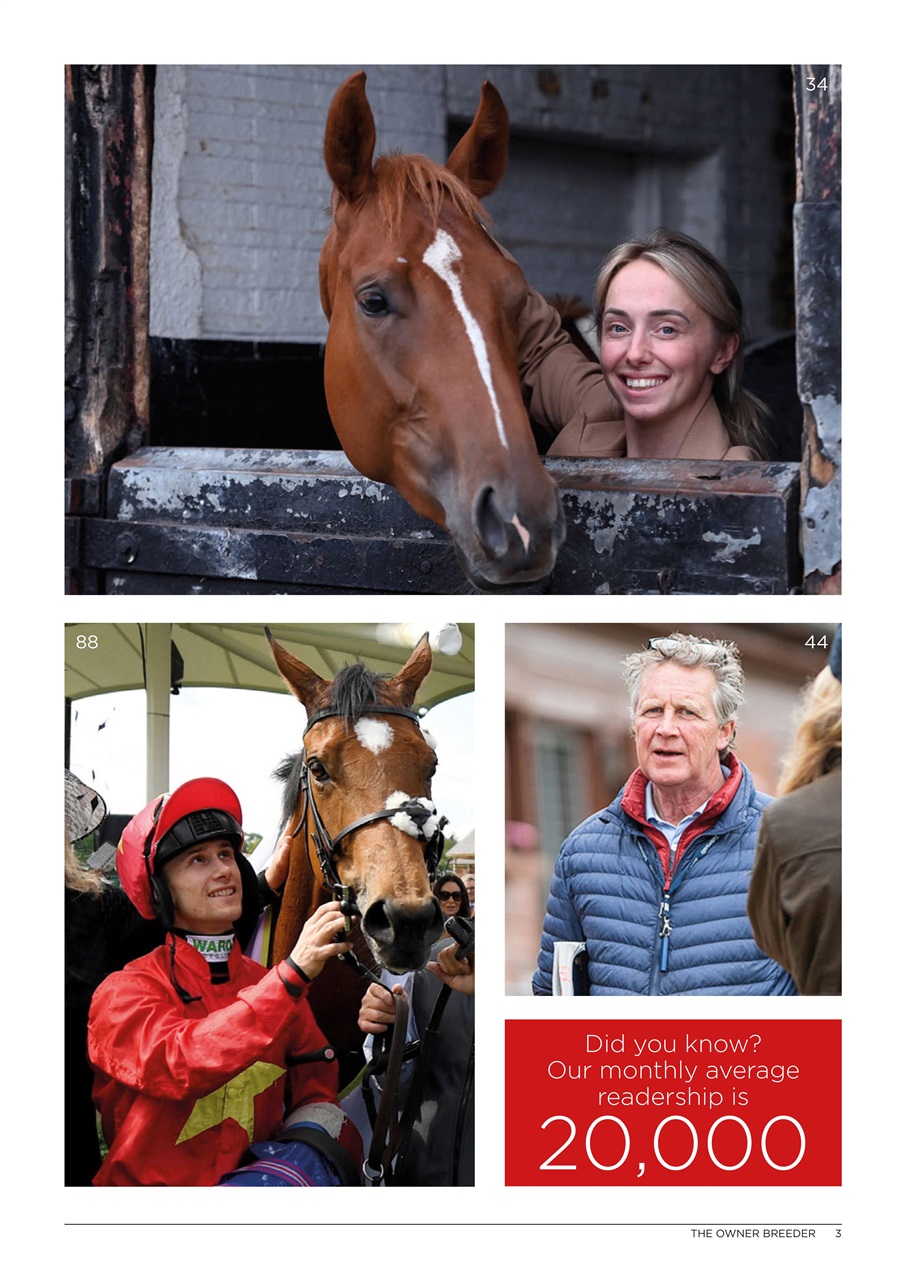 The Owner Breeder Preview Pages