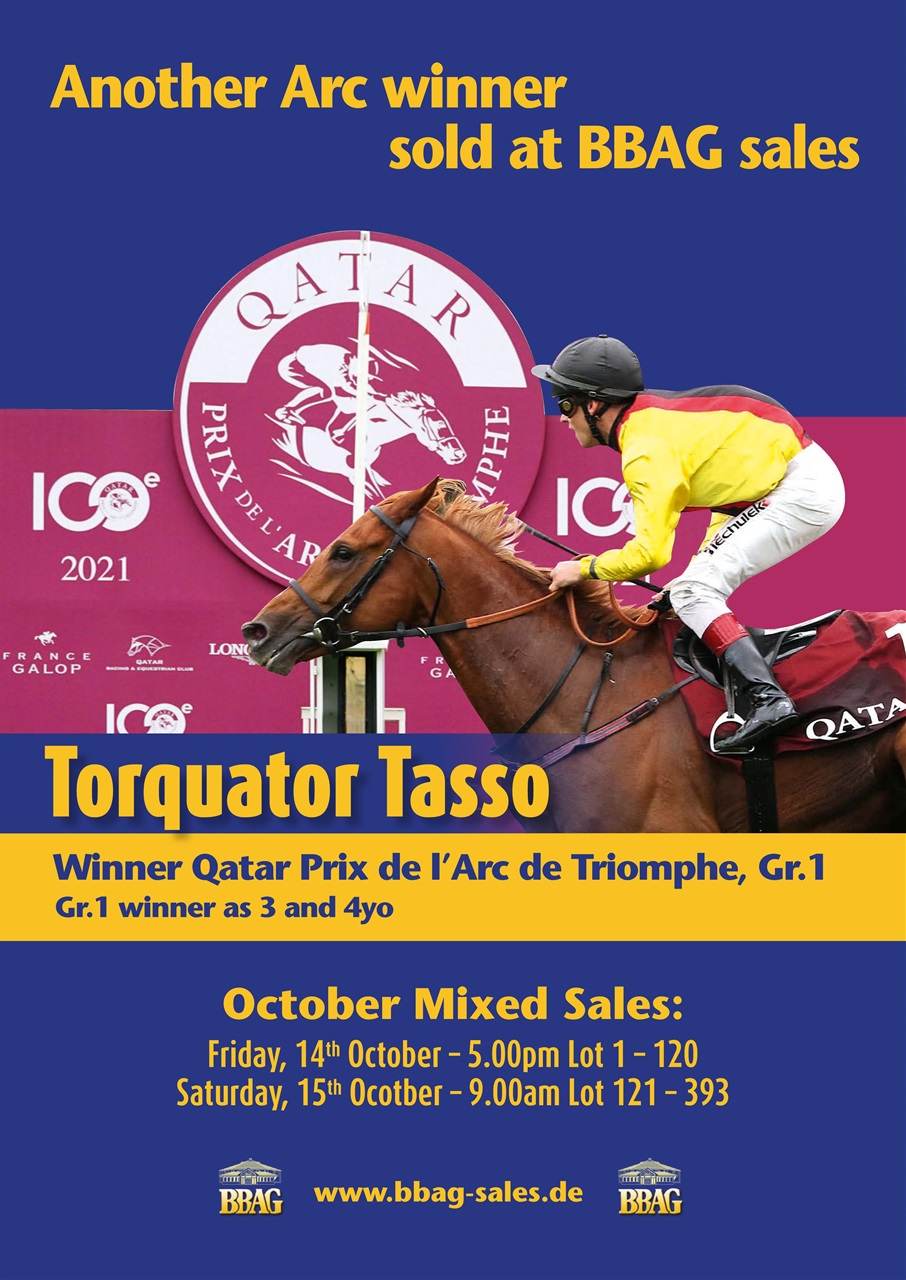 The Owner Breeder Preview Pages