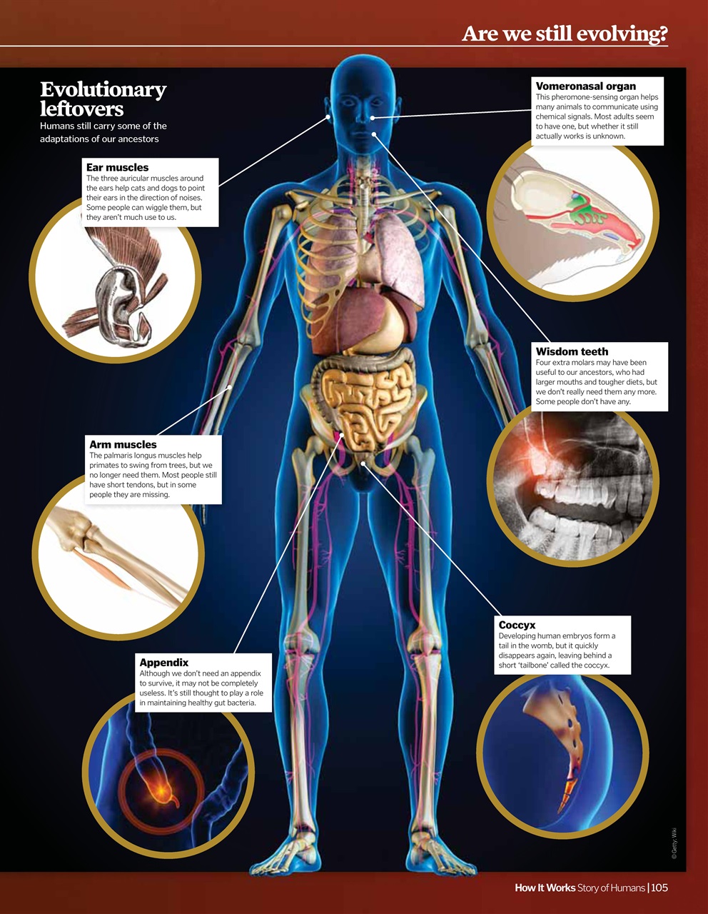 How It Works Bookazine Preview Pages