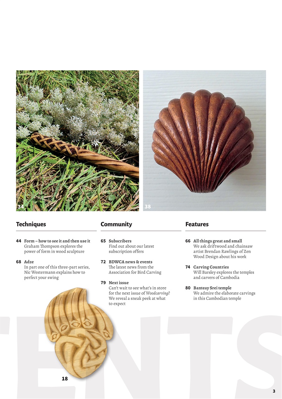 Woodcarving Preview Pages