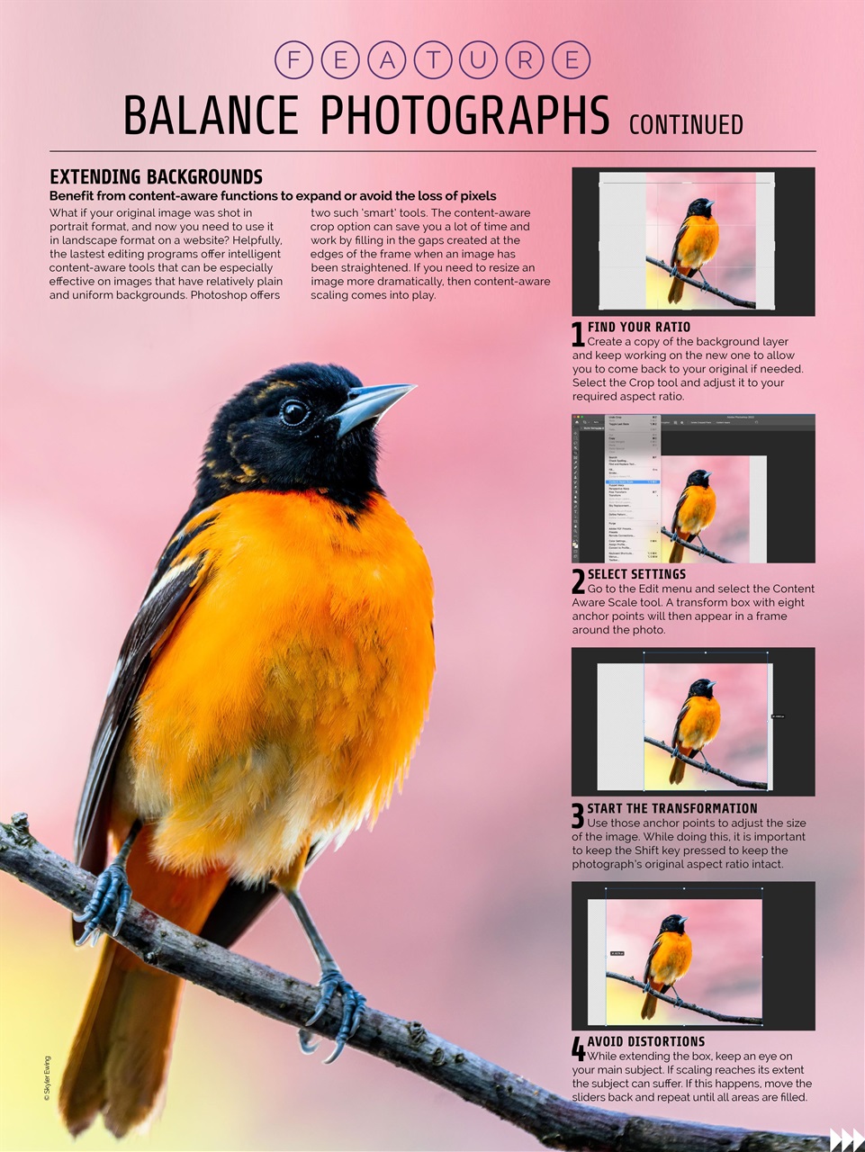 Photography Week Preview Pages