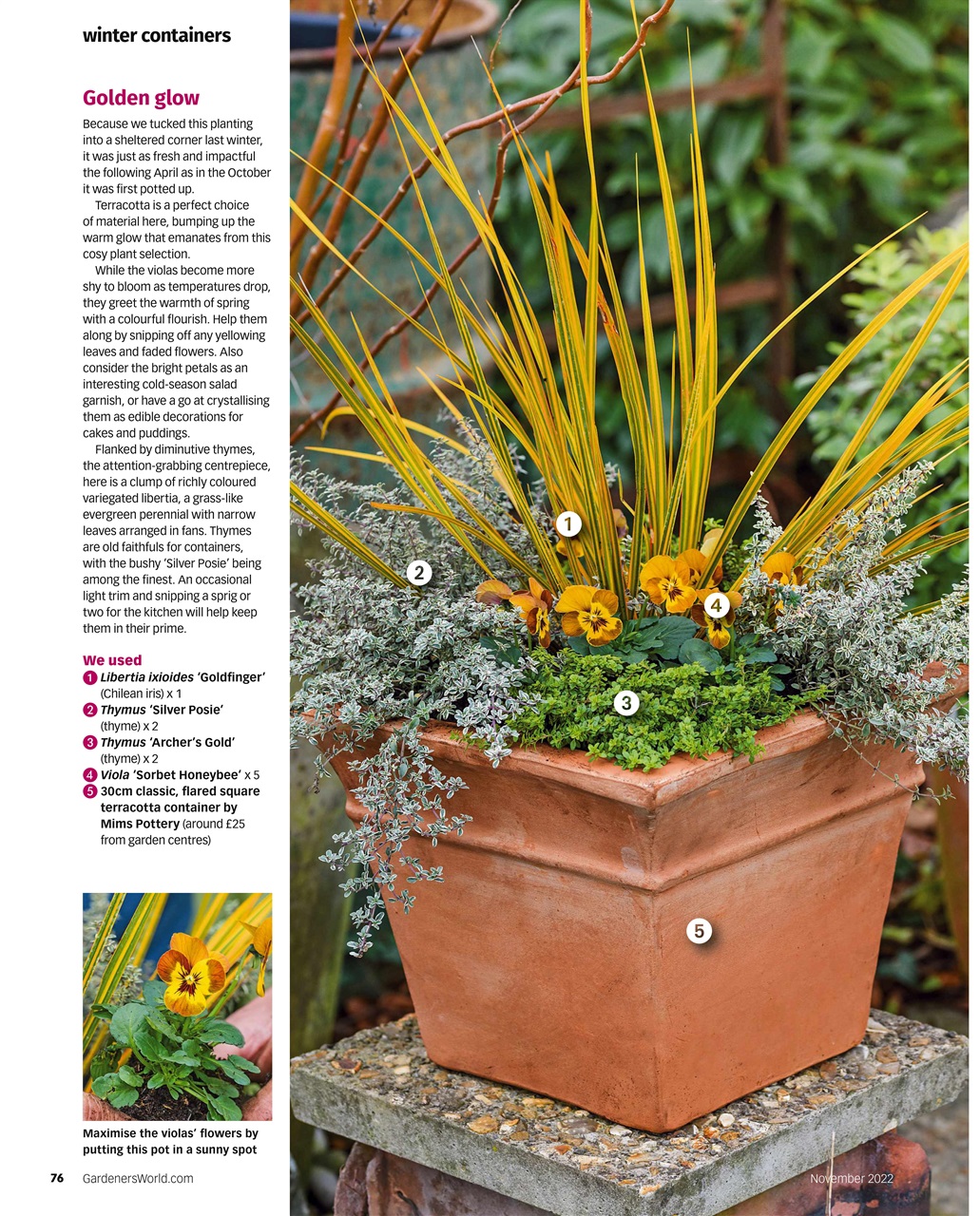 BBC Gardeners’ World Magazine Preview Pages