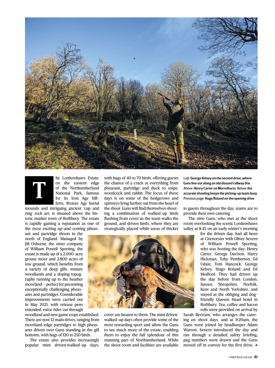 The Field Preview Pages