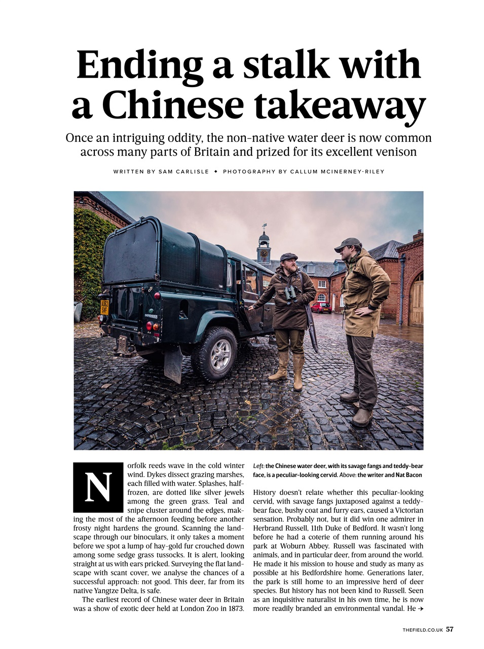 The Field Preview Pages