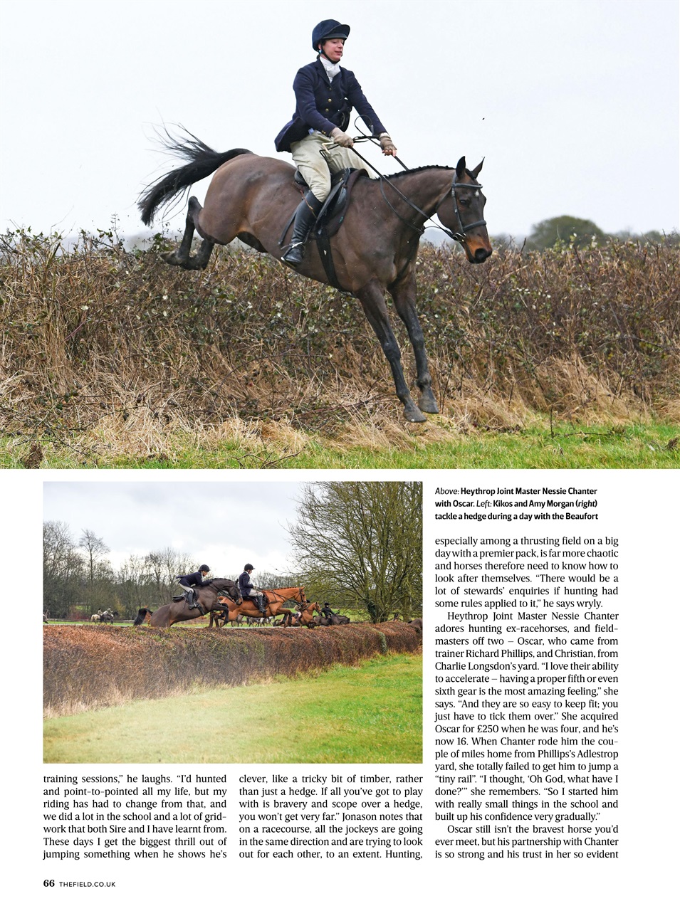 The Field Preview Pages