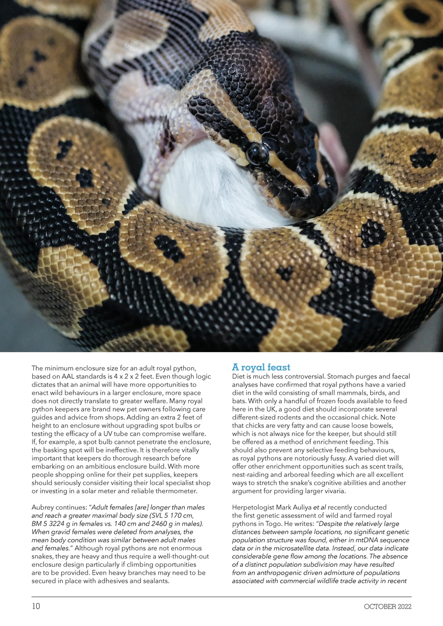 Exotics Keeper Preview Pages