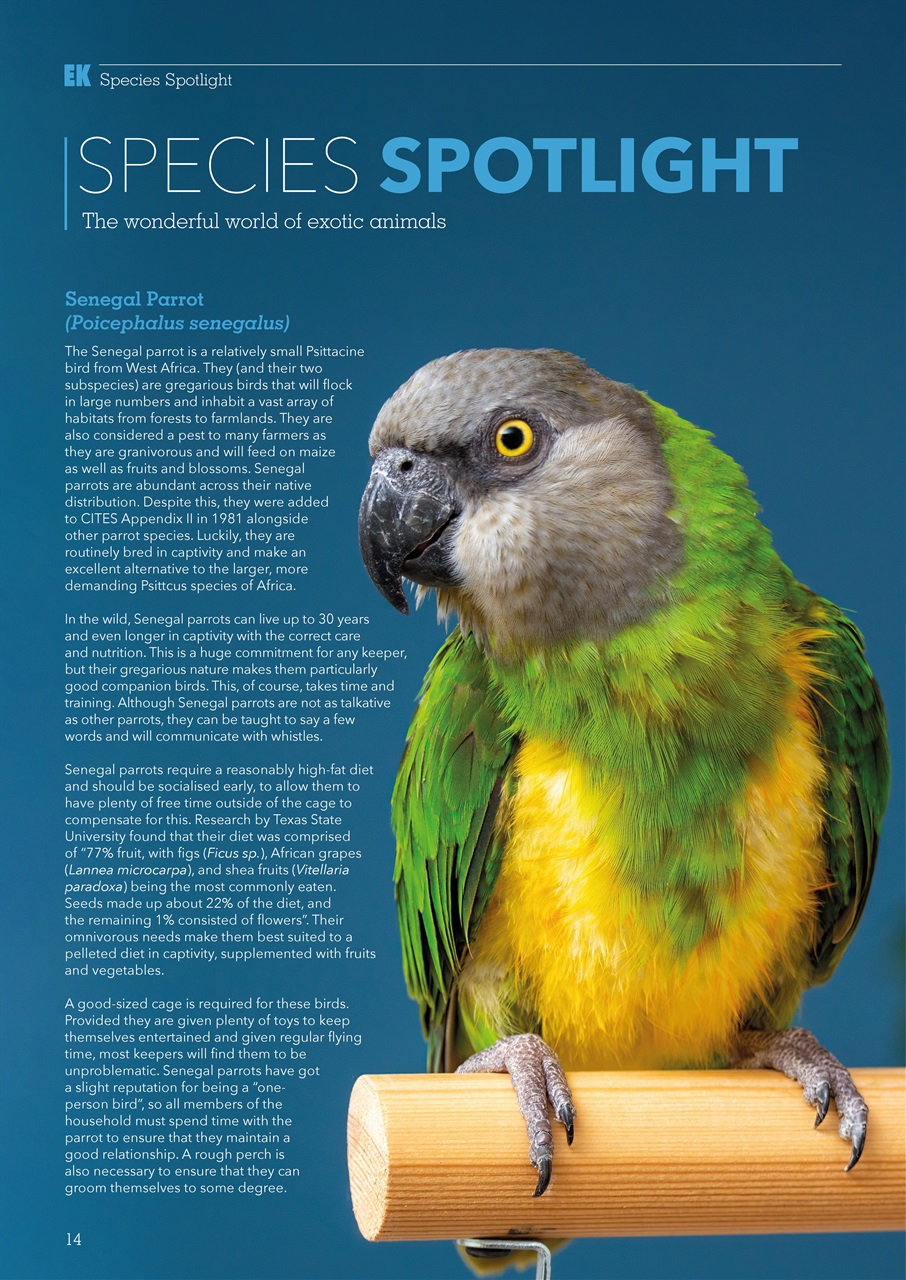 Exotics Keeper Preview Pages