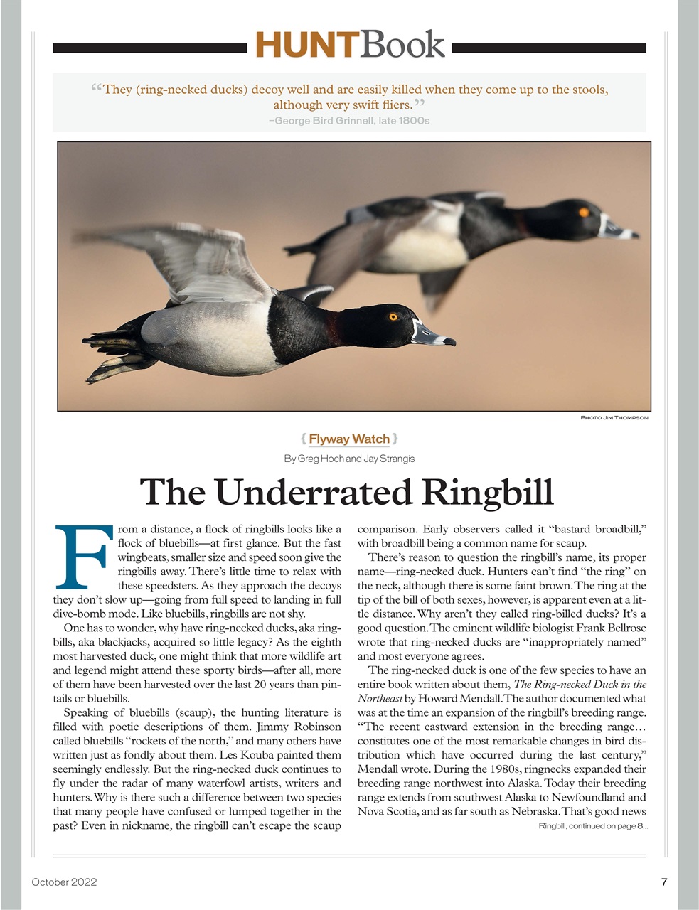 American Waterfowler Preview Pages