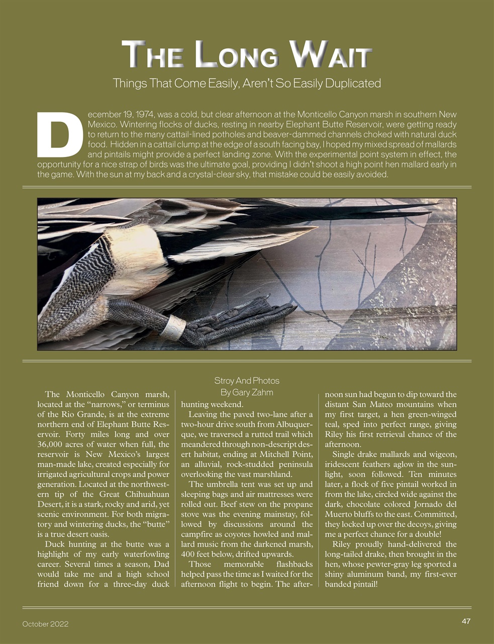 American Waterfowler Preview Pages