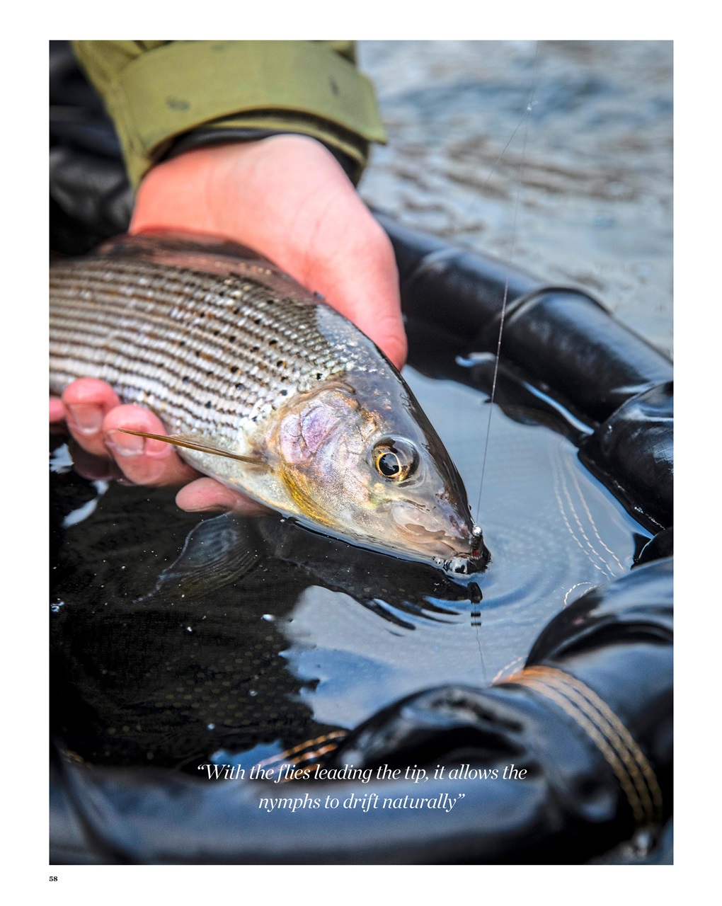 Trout & Salmon Preview Pages