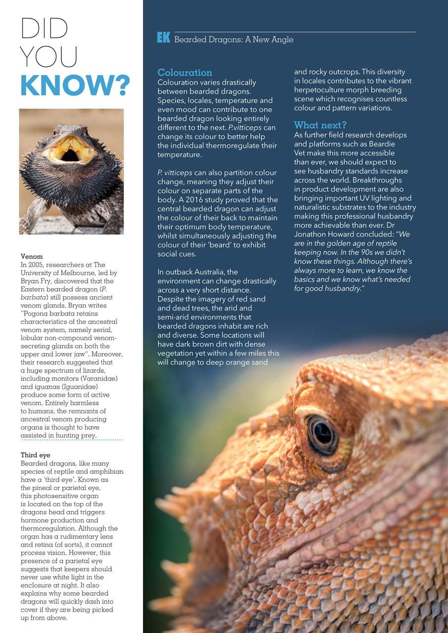 Exotics Keeper Preview Pages