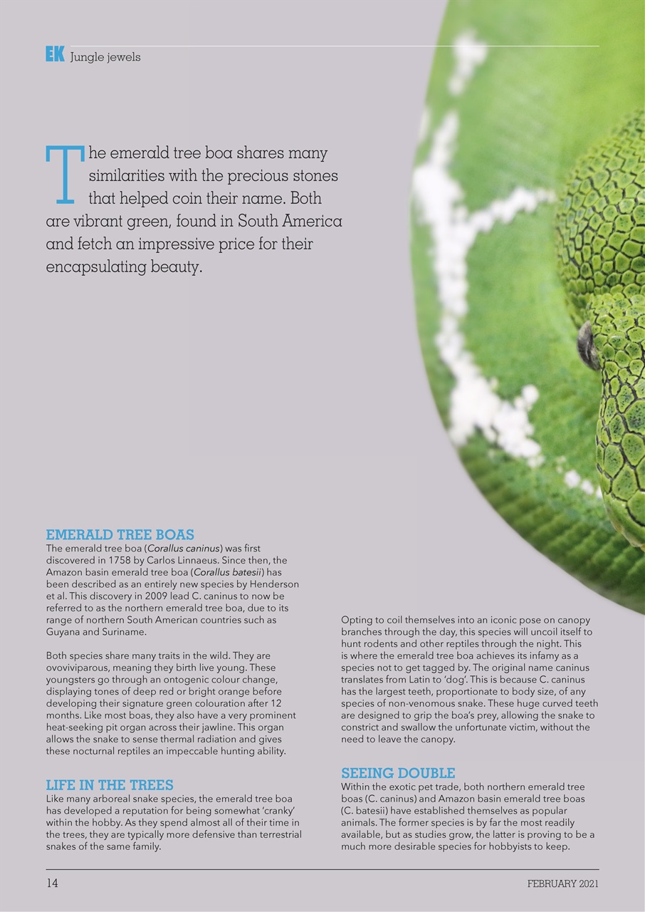 Exotics Keeper Preview Pages