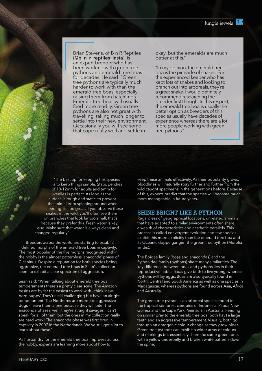 Exotics Keeper Preview Pages