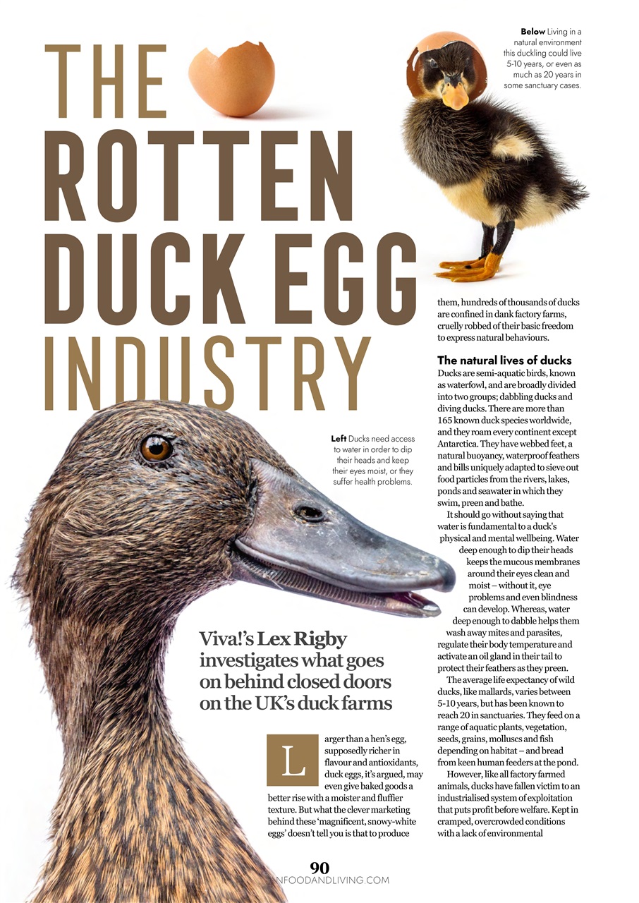 Vegan Food & Living Magazine Preview Pages