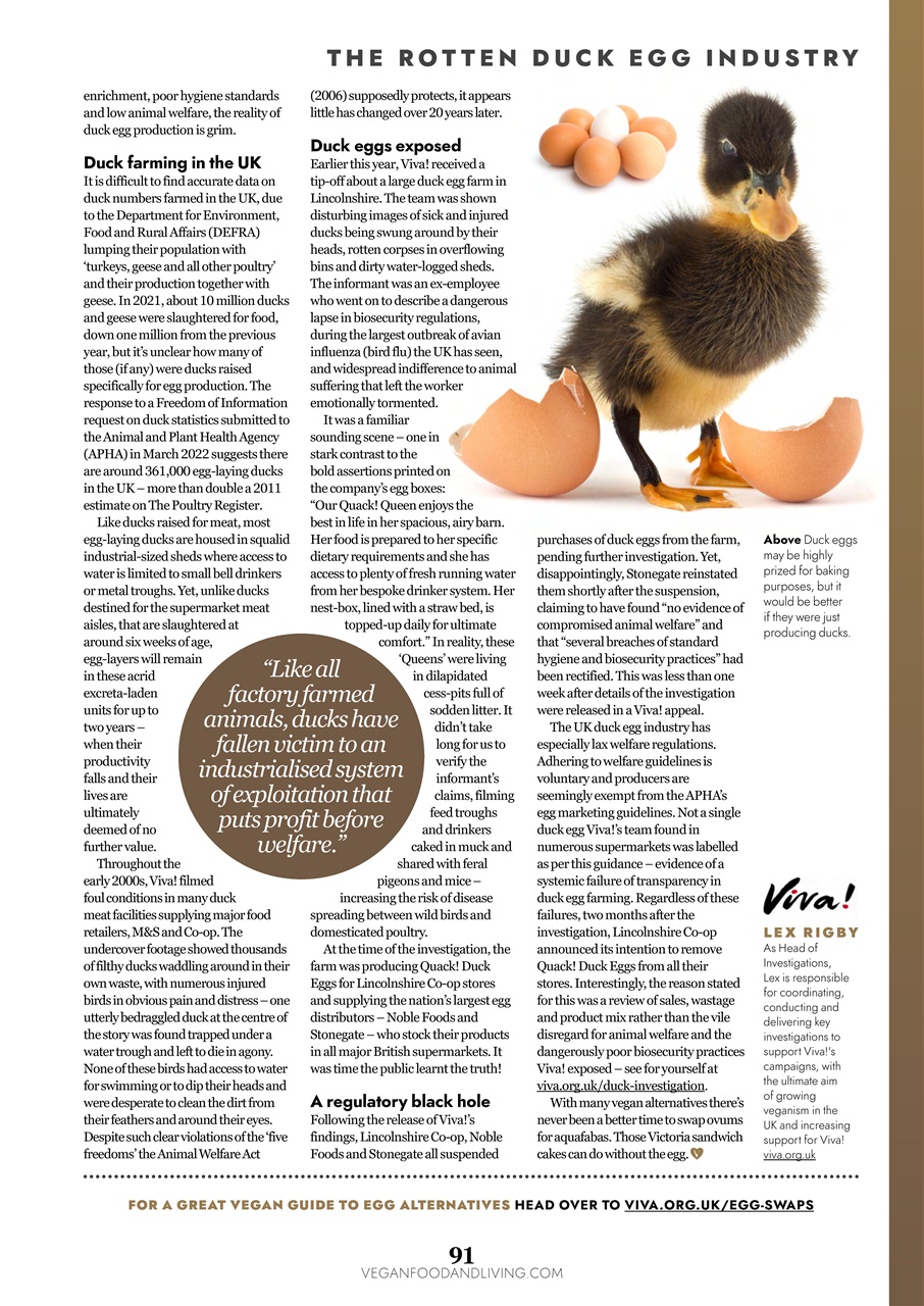 Vegan Food & Living Magazine Preview Pages