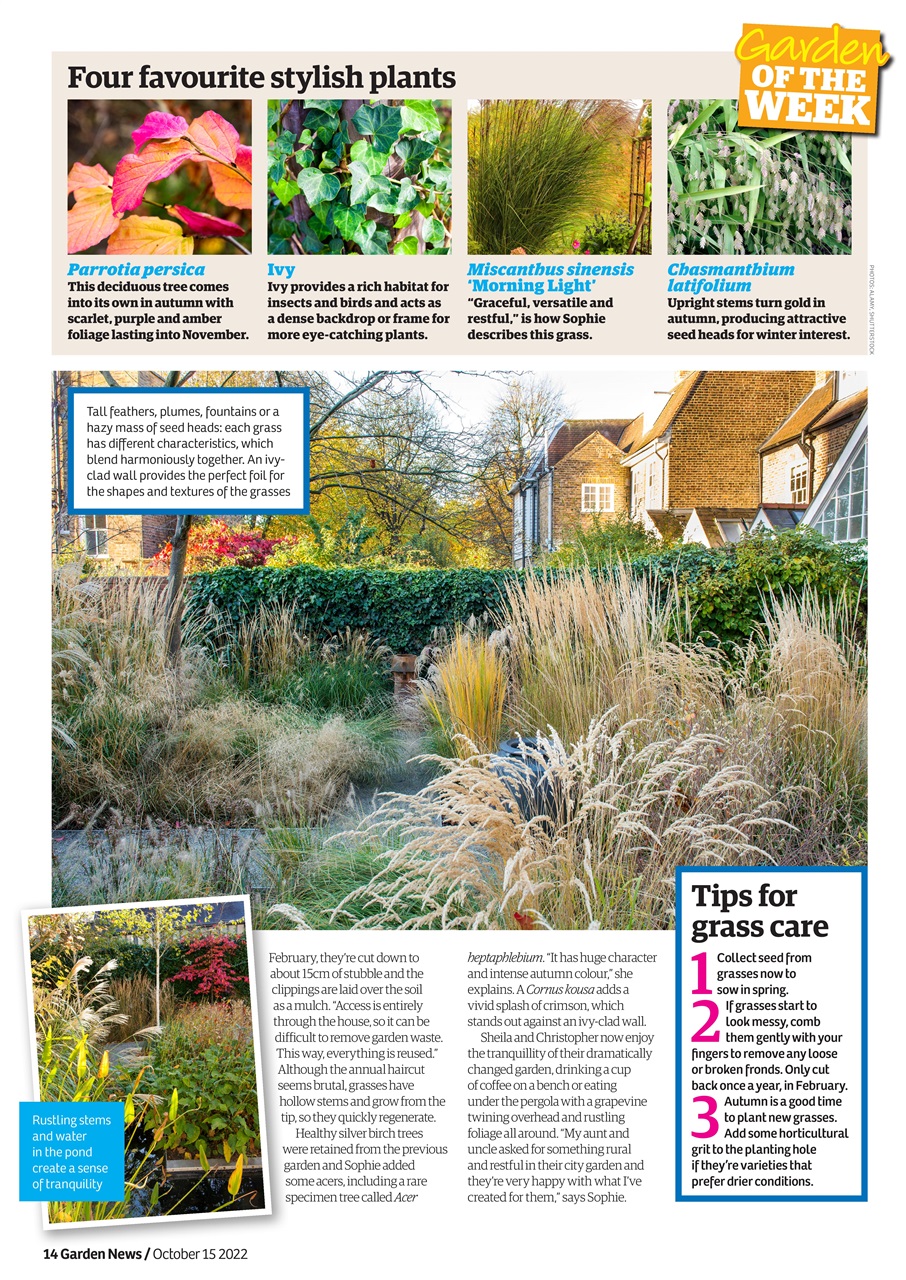 Garden News Preview Pages