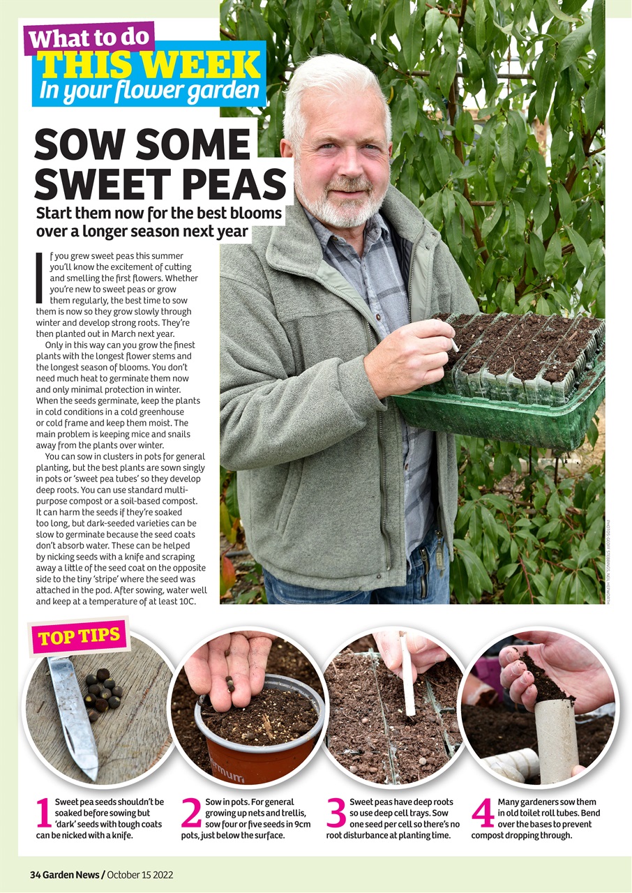 Garden News Preview Pages