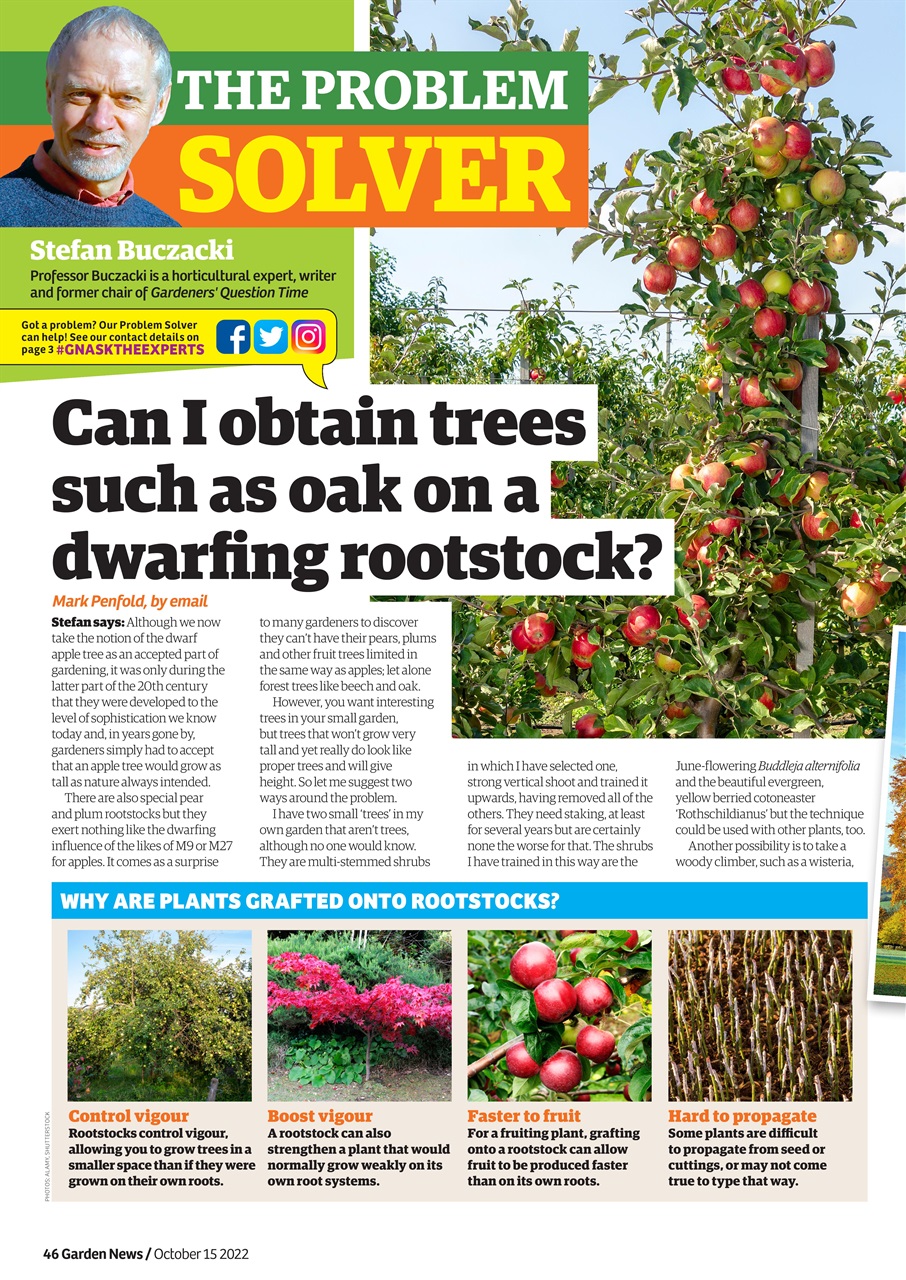 Garden News Preview Pages