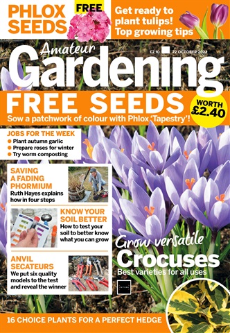 Amateur Gardening issue 22nd October 2022