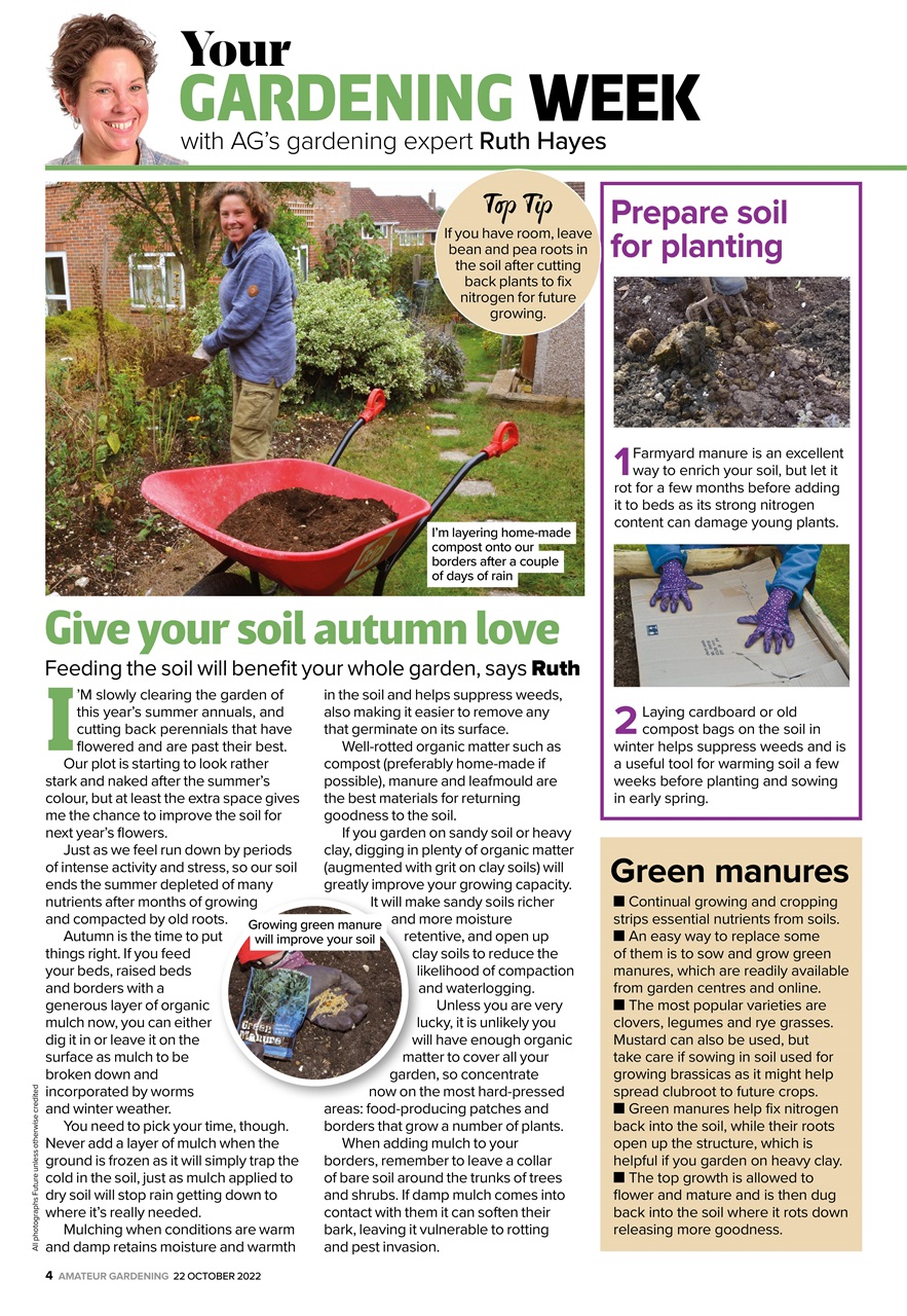 Amateur Gardening Preview Pages