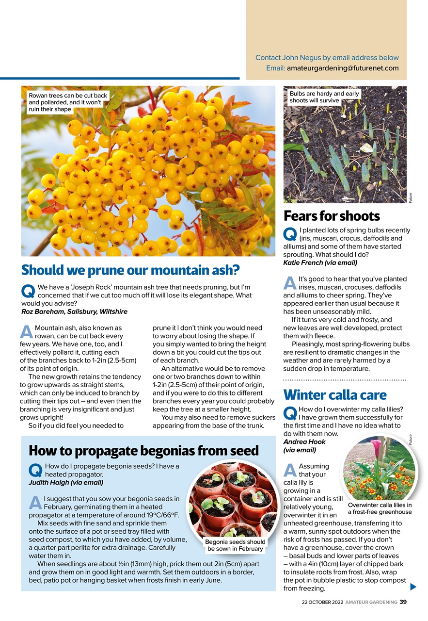 Amateur Gardening Preview Pages
