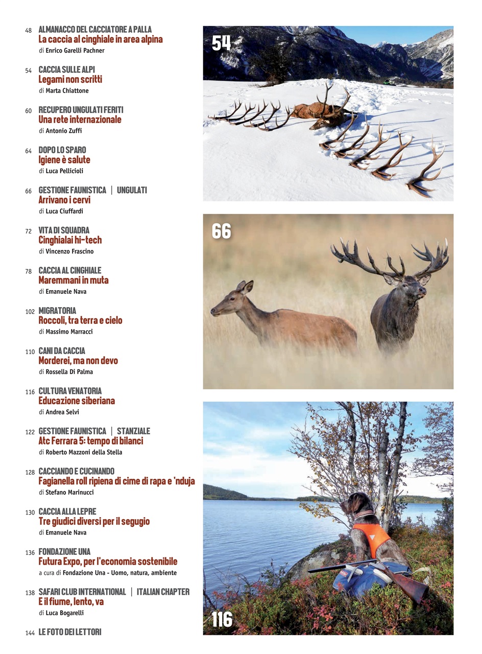Caccia Magazine Preview Pages