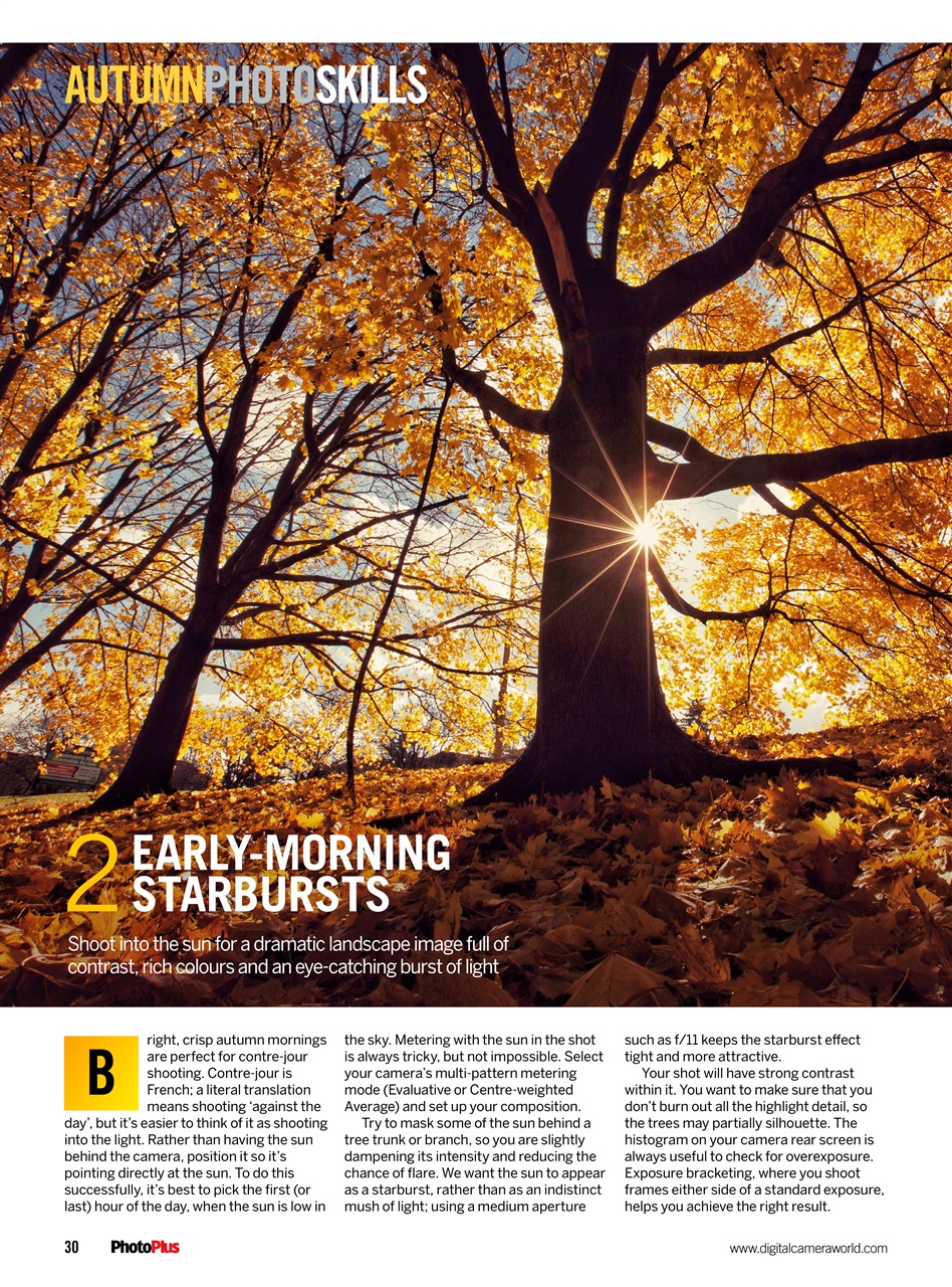 PhotoPlus Preview Pages