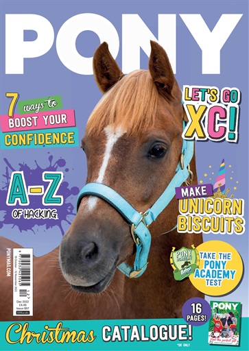 Pony Magazine issue 