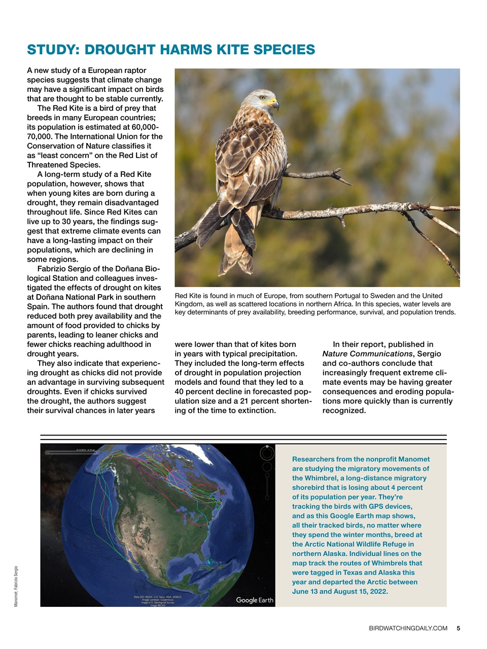 BirdWatching Preview Pages
