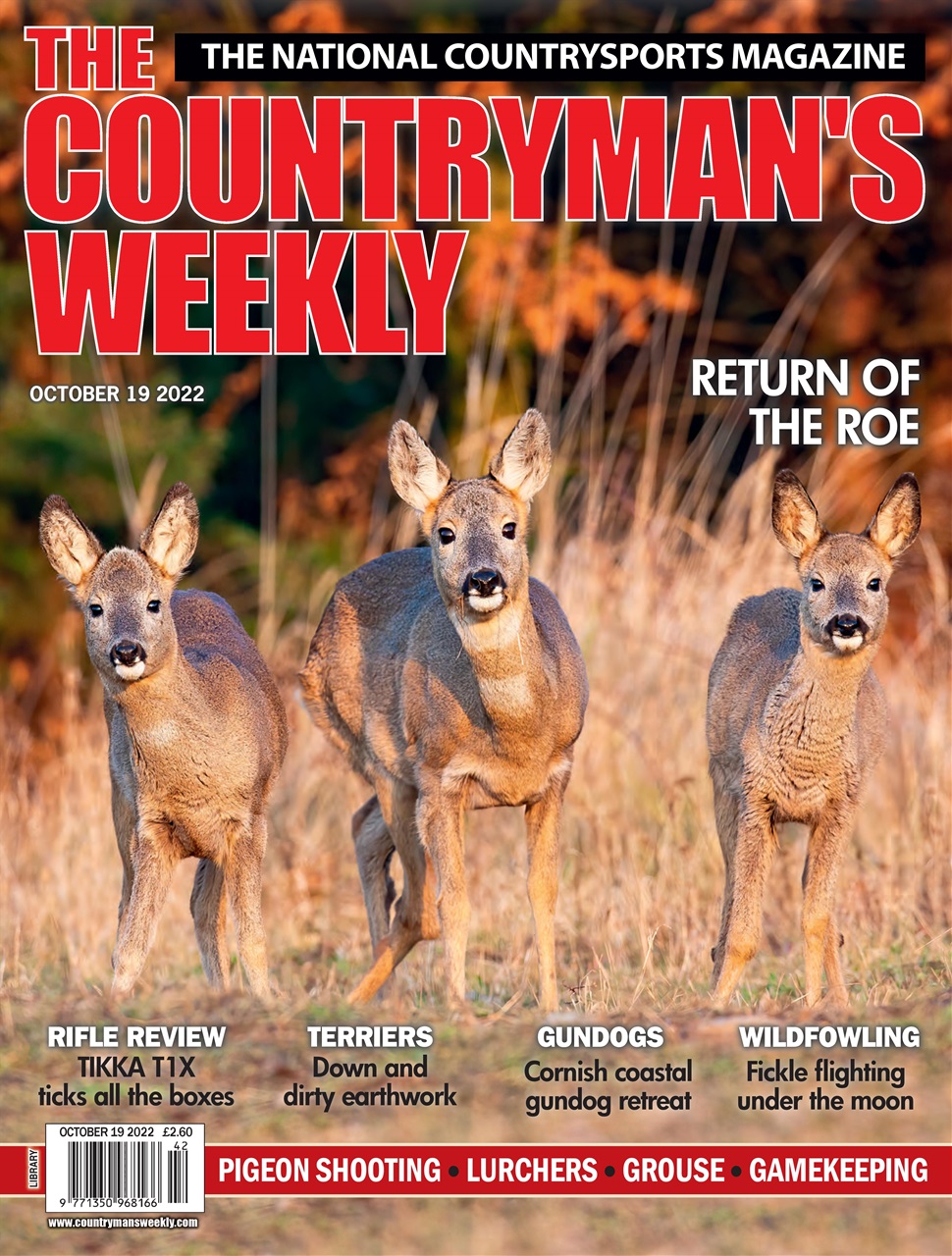 Countryman's Weekly Preview Pages
