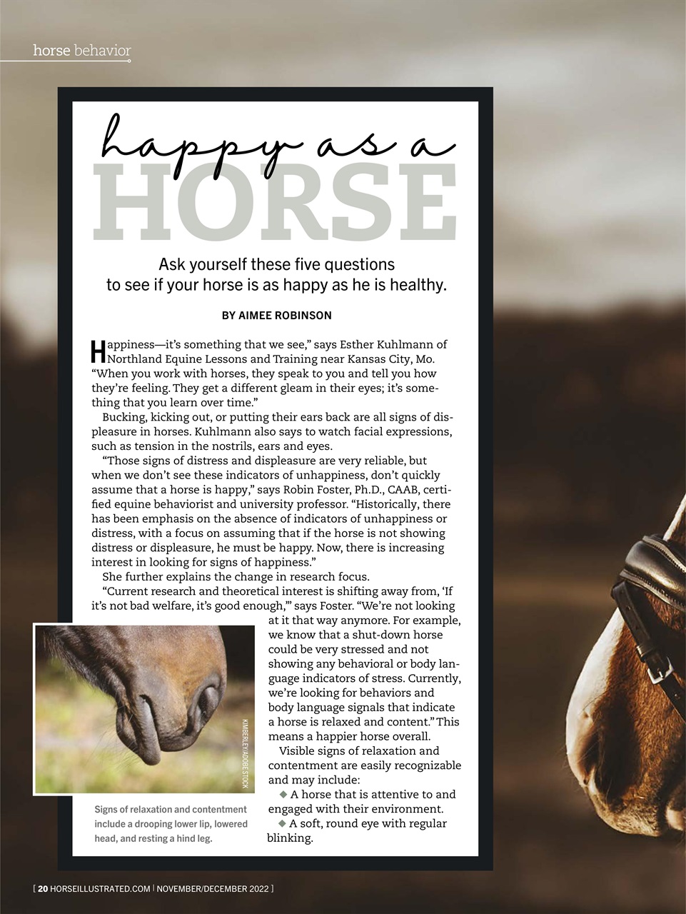 Horse Illustrated Magazine Preview Pages