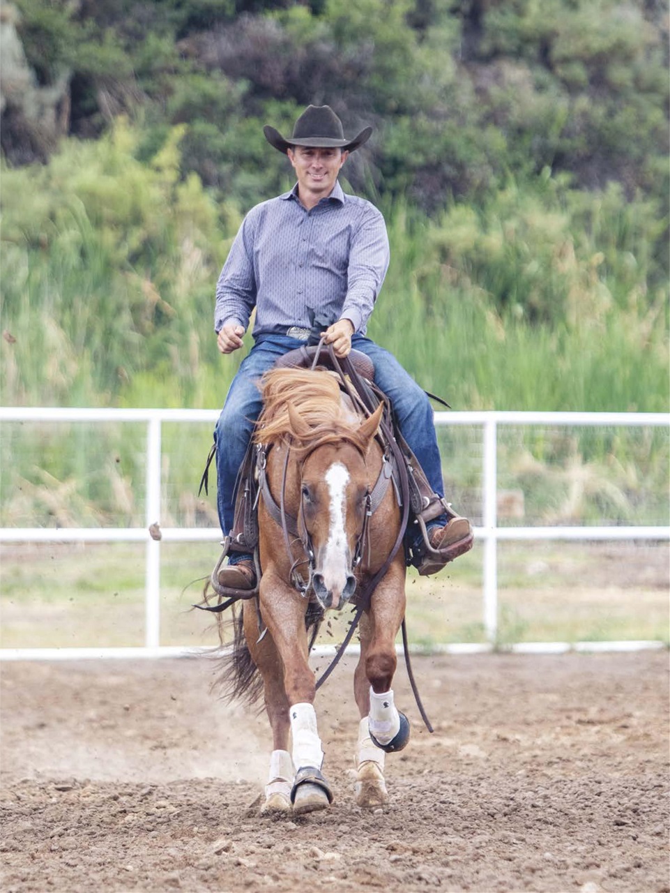 Horse Illustrated Magazine Preview Pages